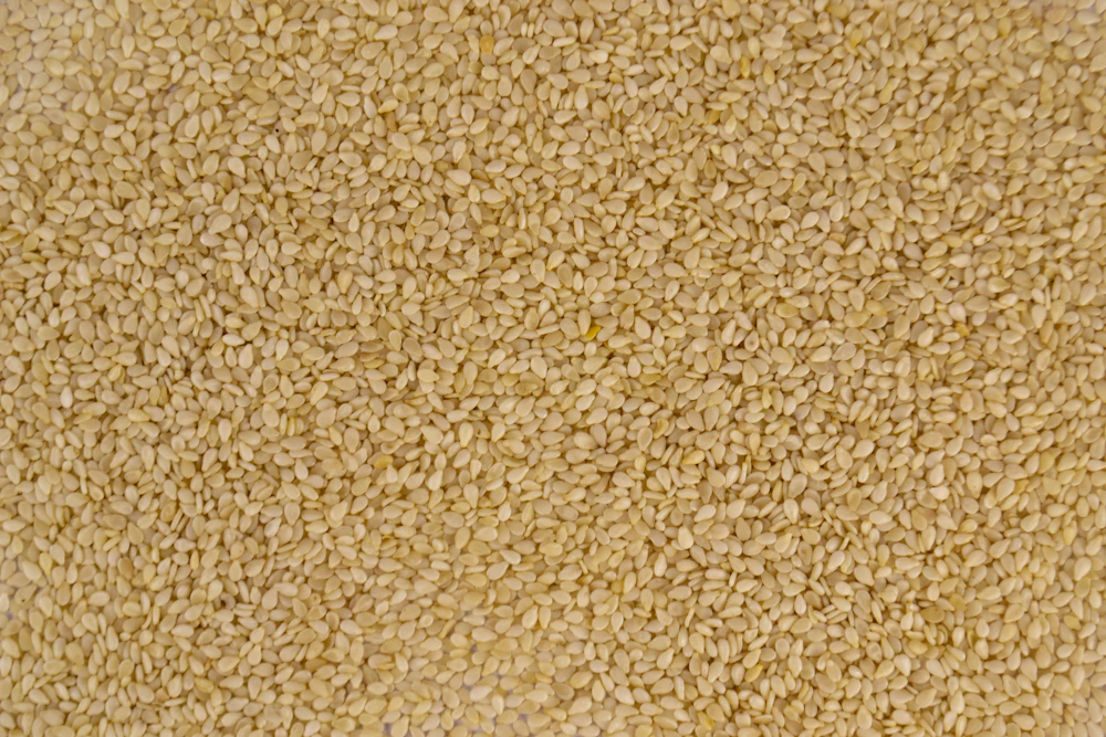 Pale sesame seeds filling the frame
