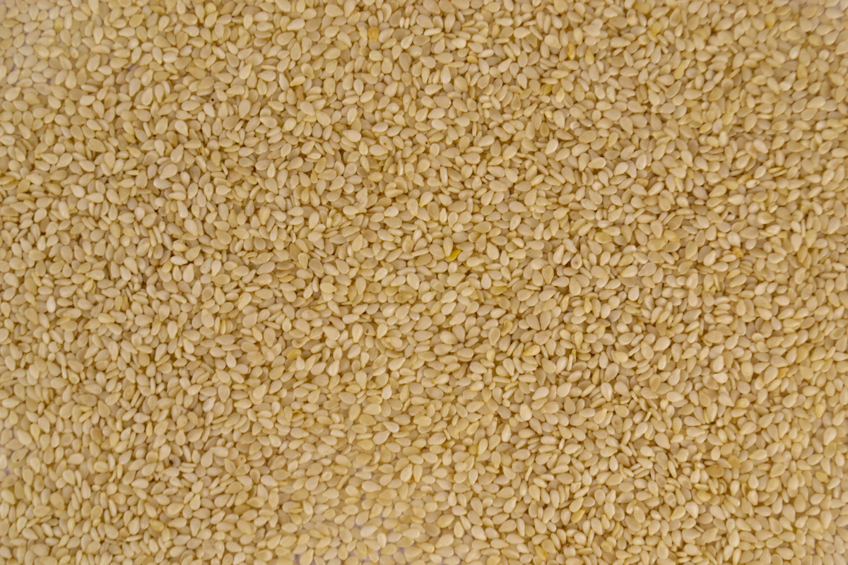 Sesame Til Farming India — Makar Sankranti Oldest Oilseed Encyclopedia