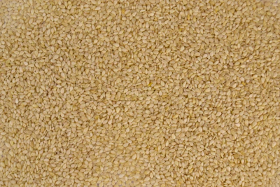Sesame Til Farming India — Makar Sankranti Oldest Oilseed Encyclopedia