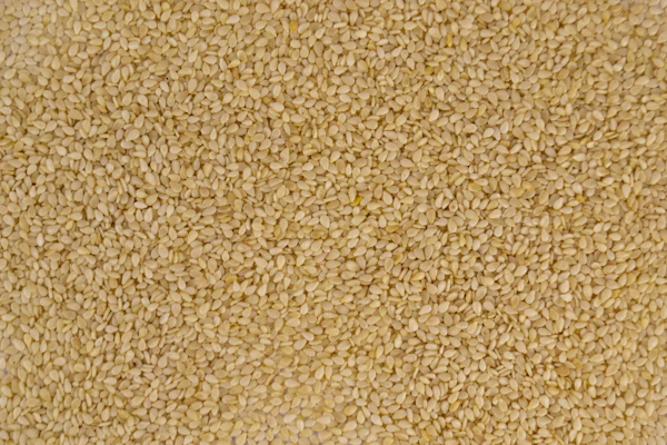 Sésame Blanc Export