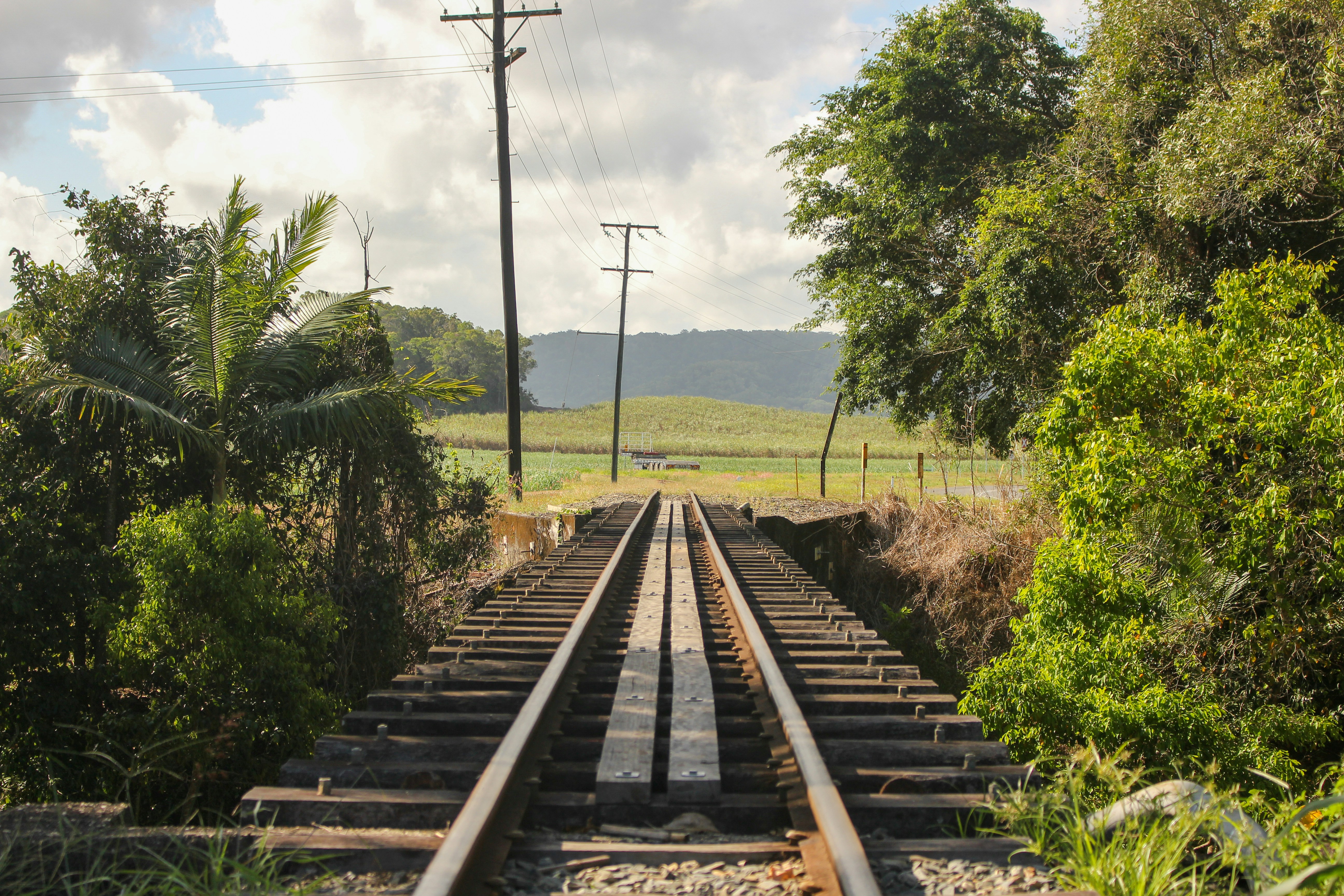 brown train rail near green trees during daytime