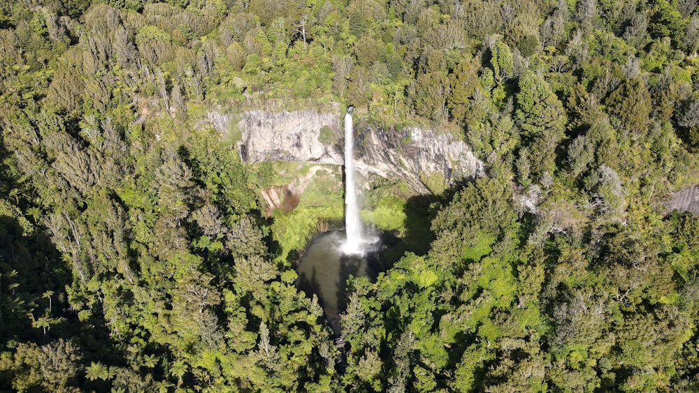 waterfalls in the middle of green trees