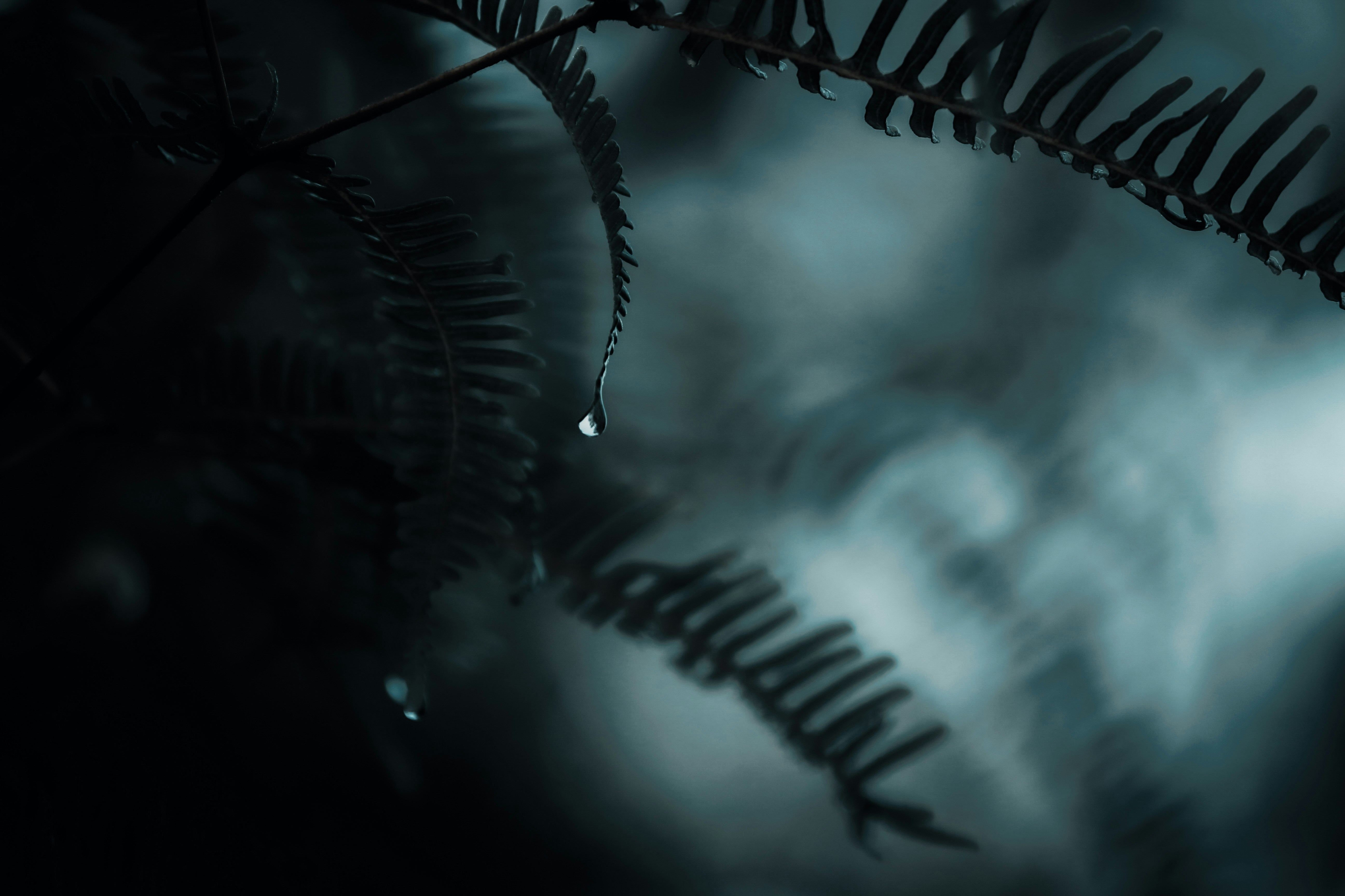 Photo by aniljose1997