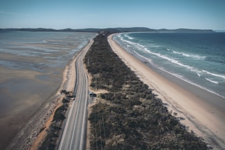 aerial view of beach during daytime