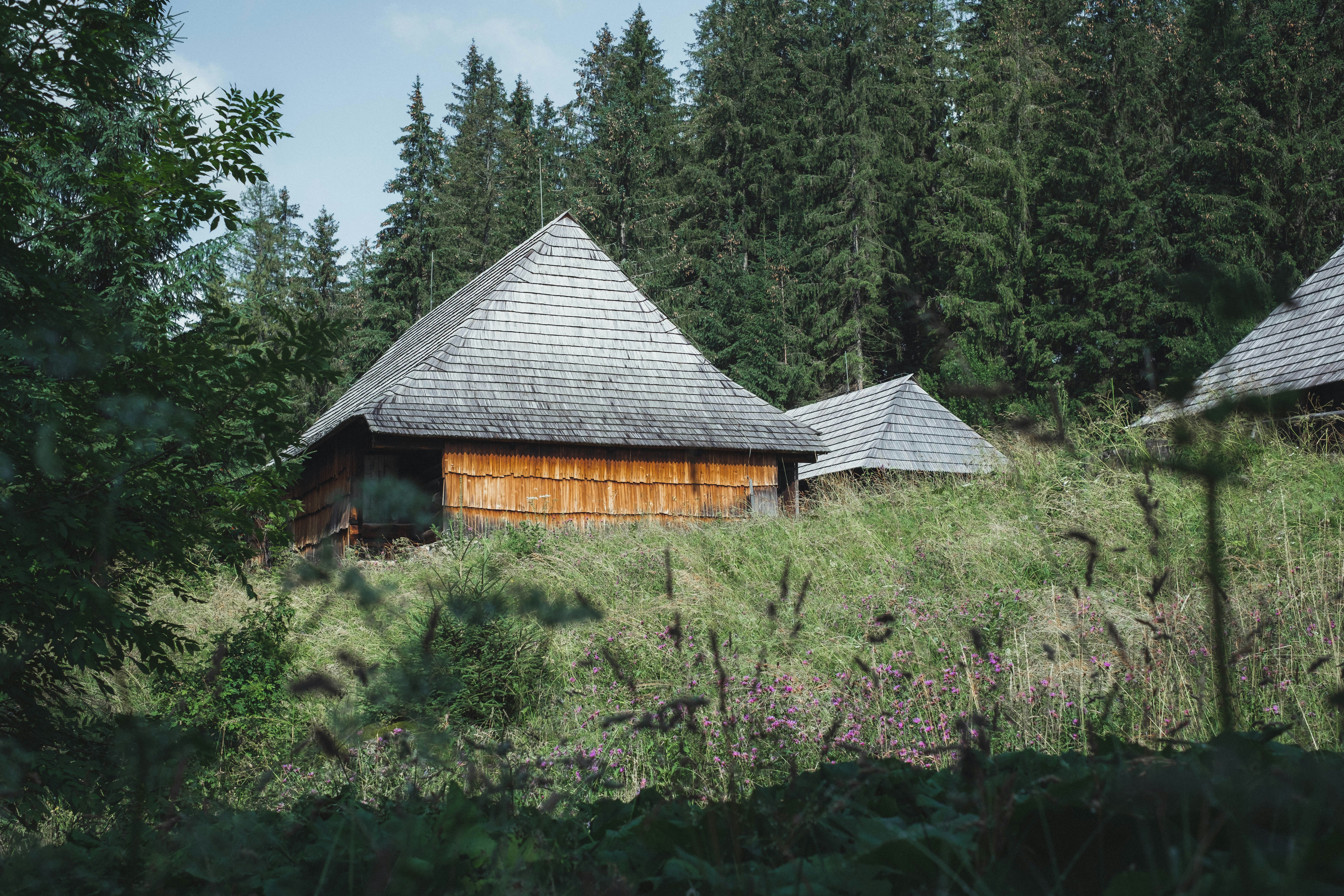 brown wooden house in the middle of green trees