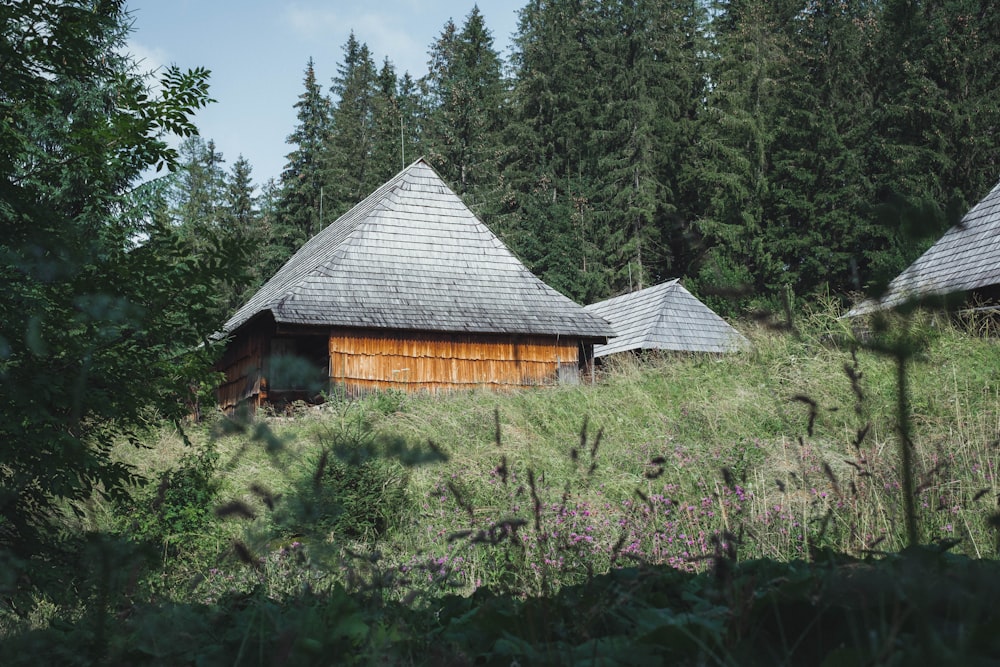 brown wooden house in the middle of green trees