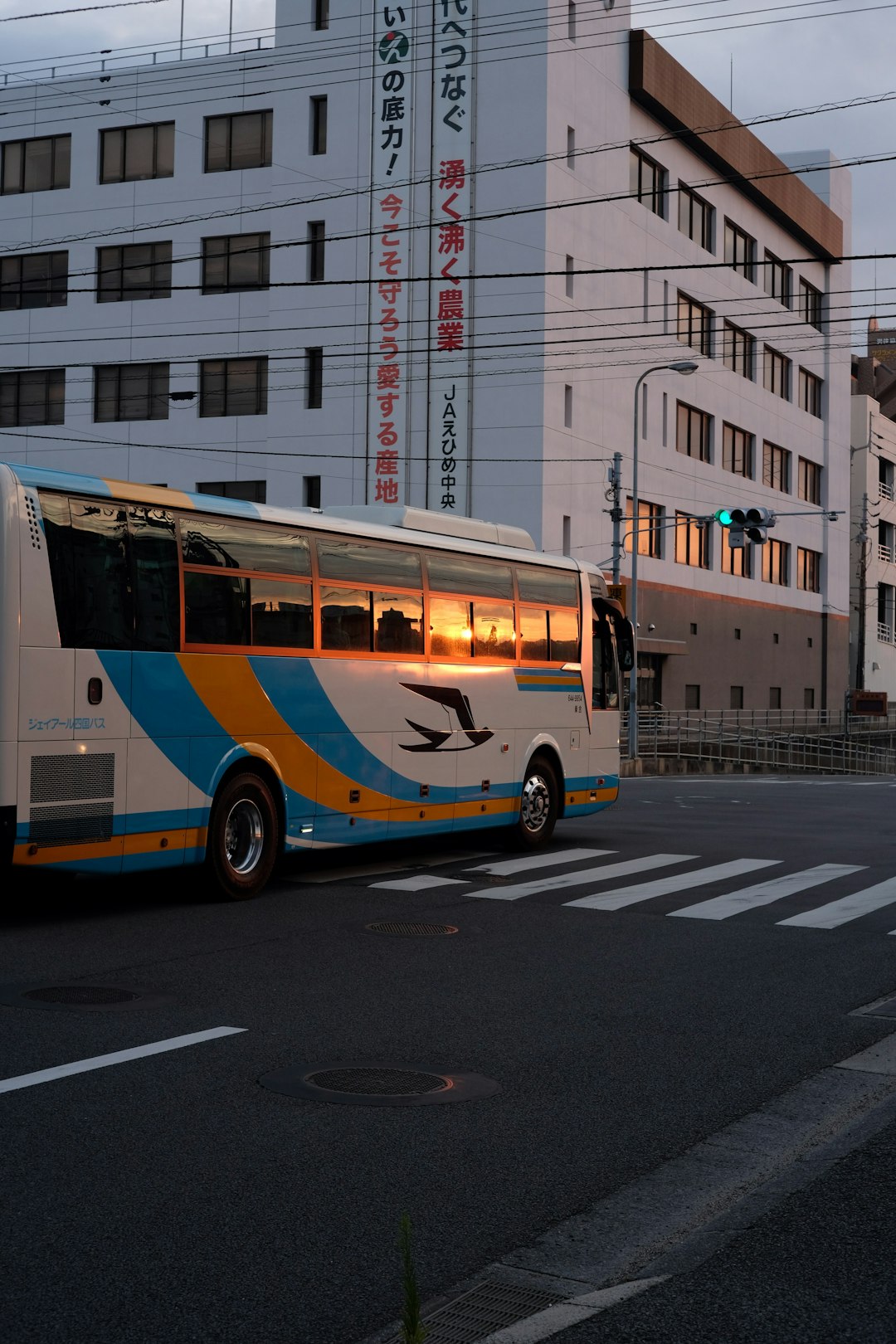 white blue and yellow bus on road during daytime