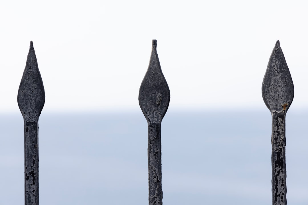 gray wooden post under white sky during daytime