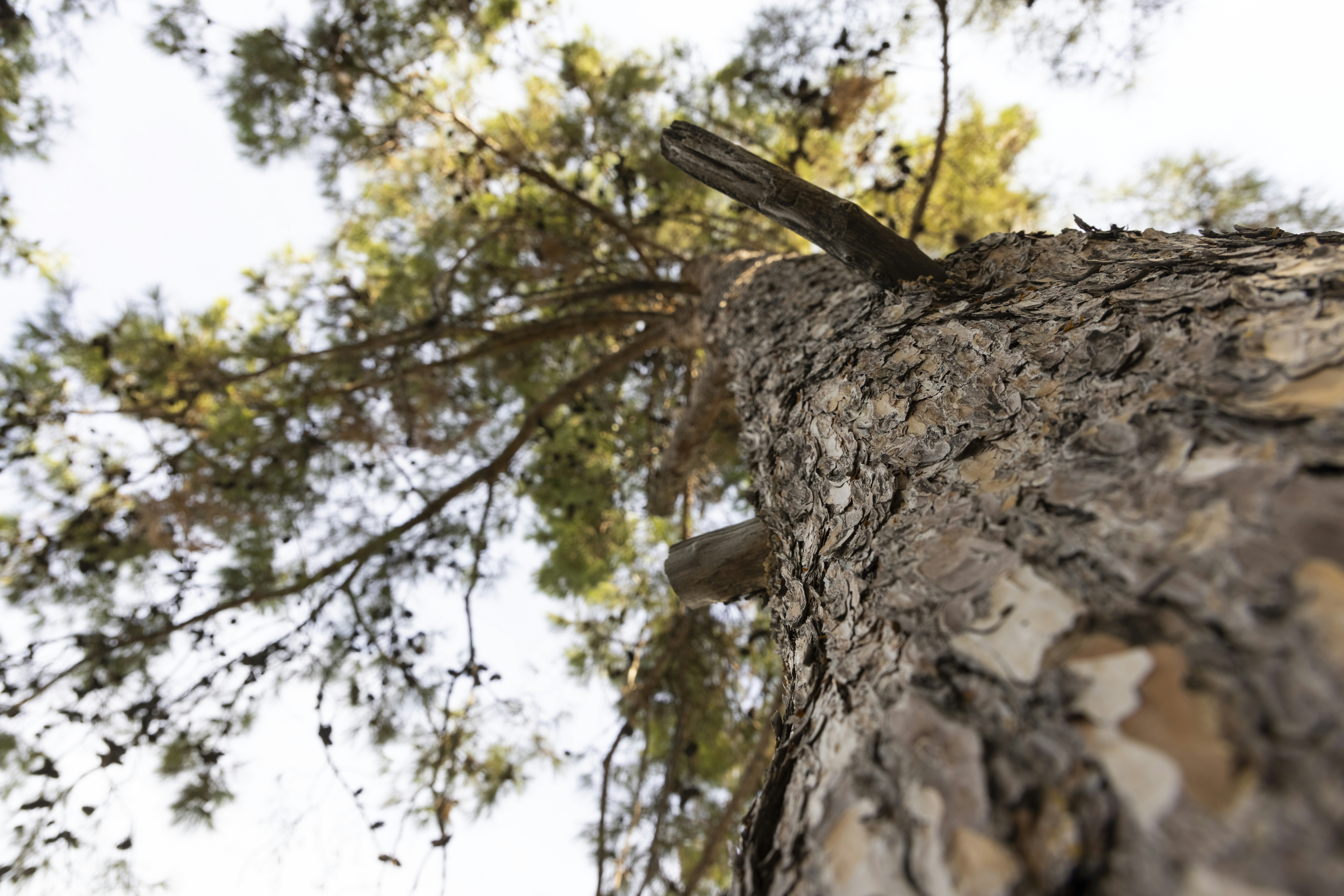 Photo by enginakyurt