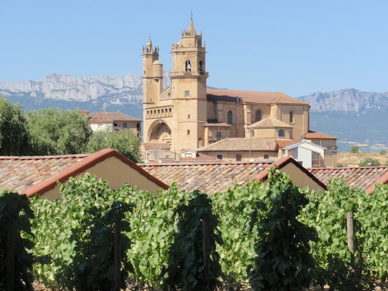 Domaine de la Côte