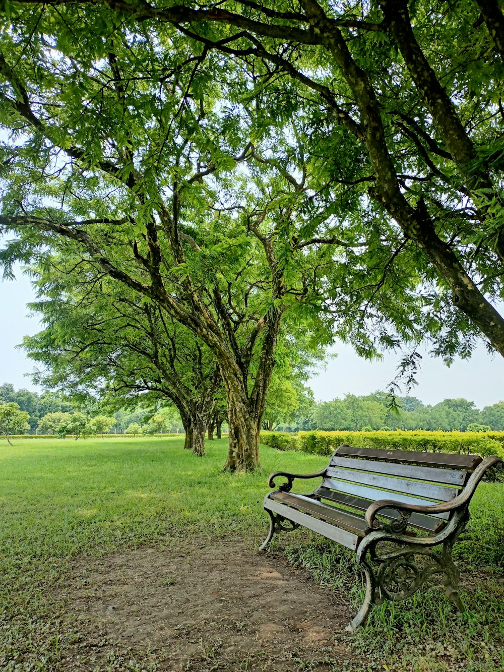 banco de madera marrón en campo de hierba verde