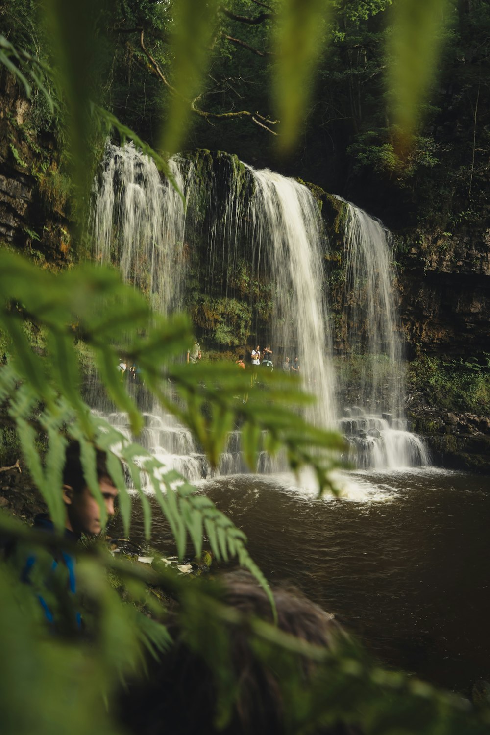 water falls in the middle of green trees