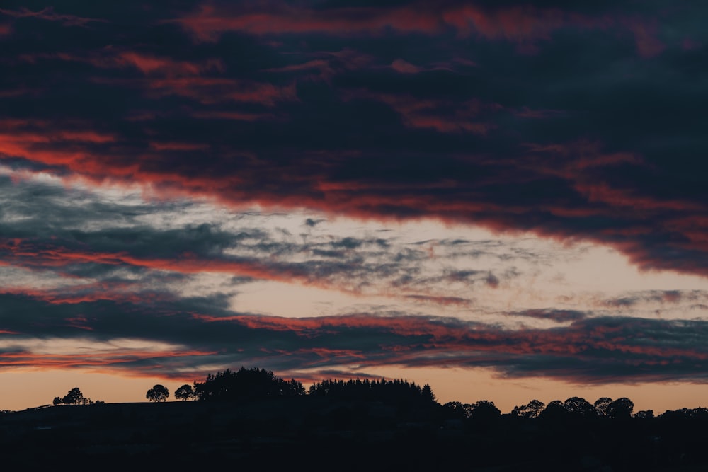 silhouette of trees under orange and gray cloudy sky during sunset