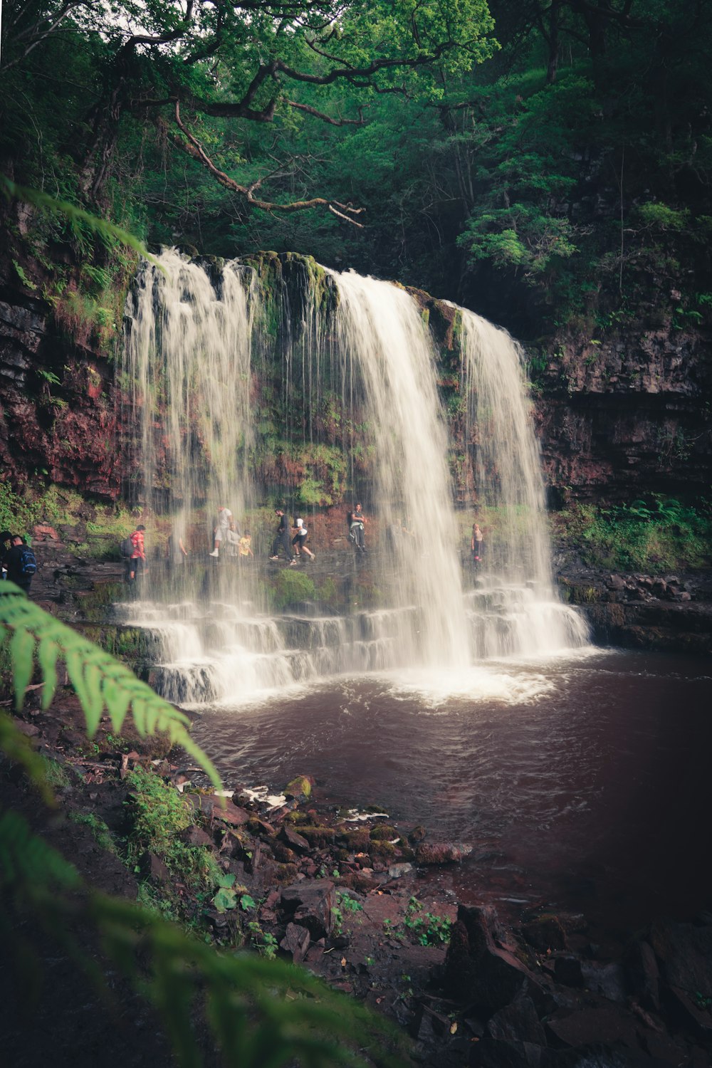 water falls in the middle of the forest