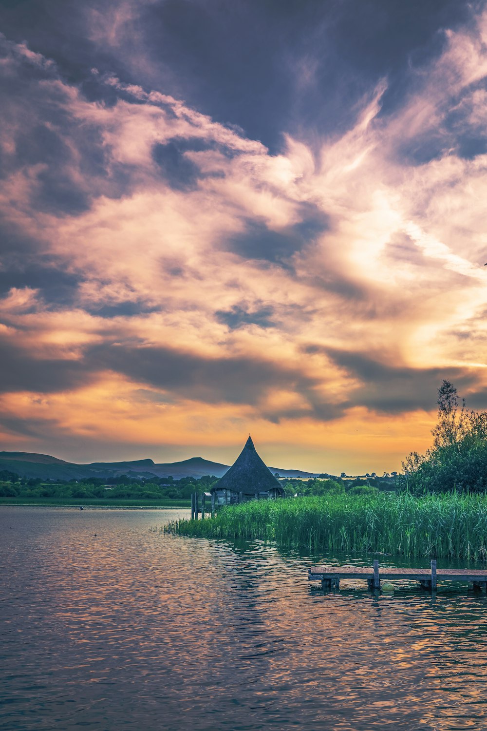 body of water near green grass field during sunset