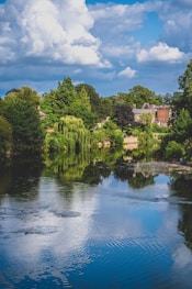 green trees beside river under blue sky during daytime