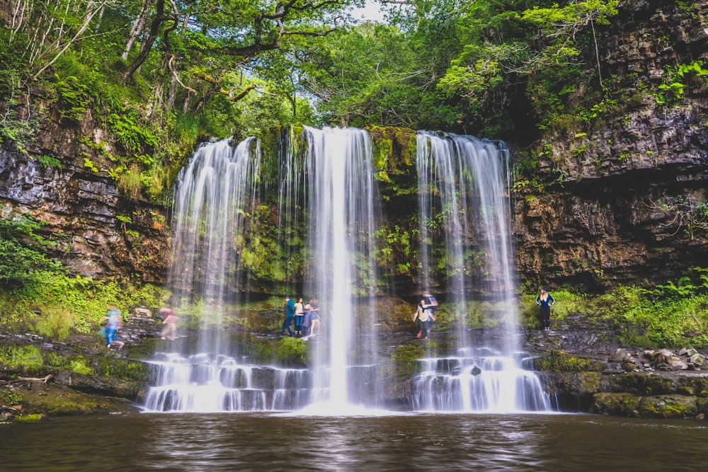 El agua cae en el bosque