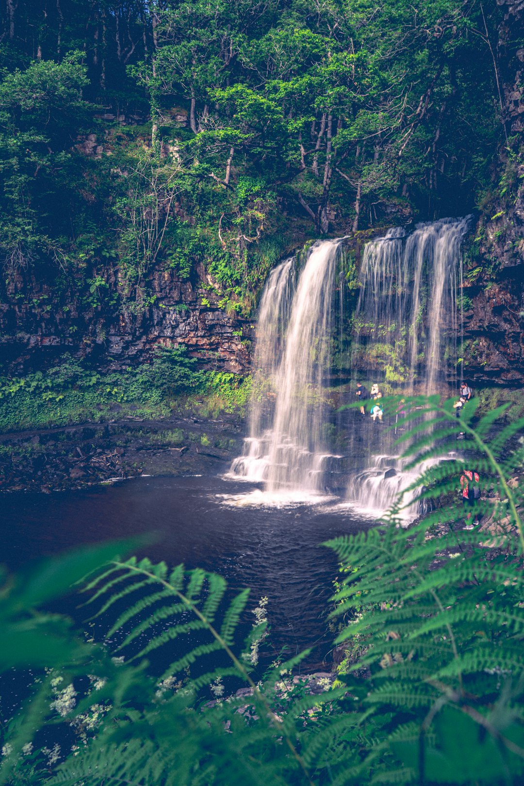 water falls in the middle of green trees