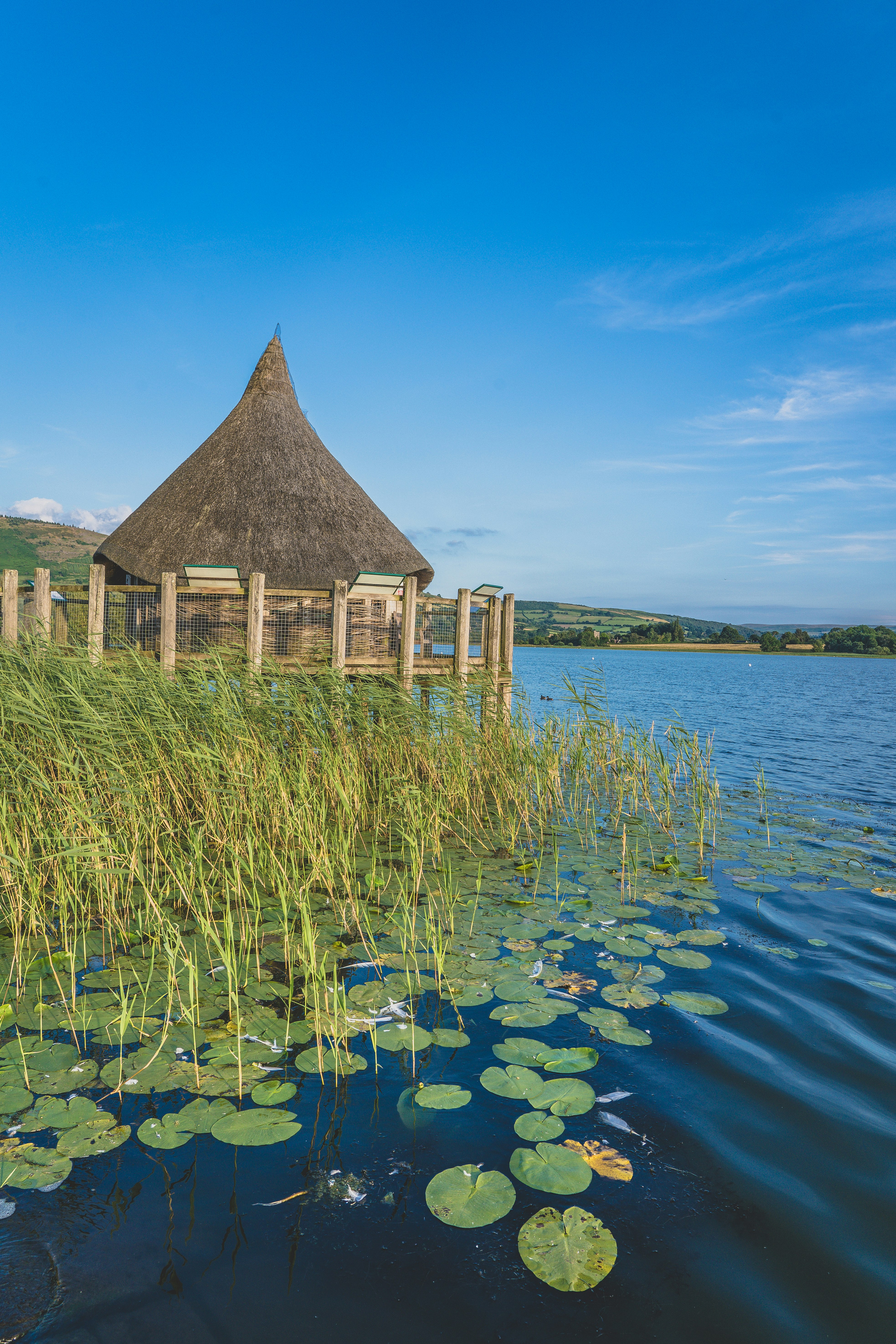 brown wooden house on body of water during daytime