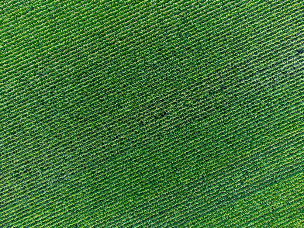 green textile in close up image