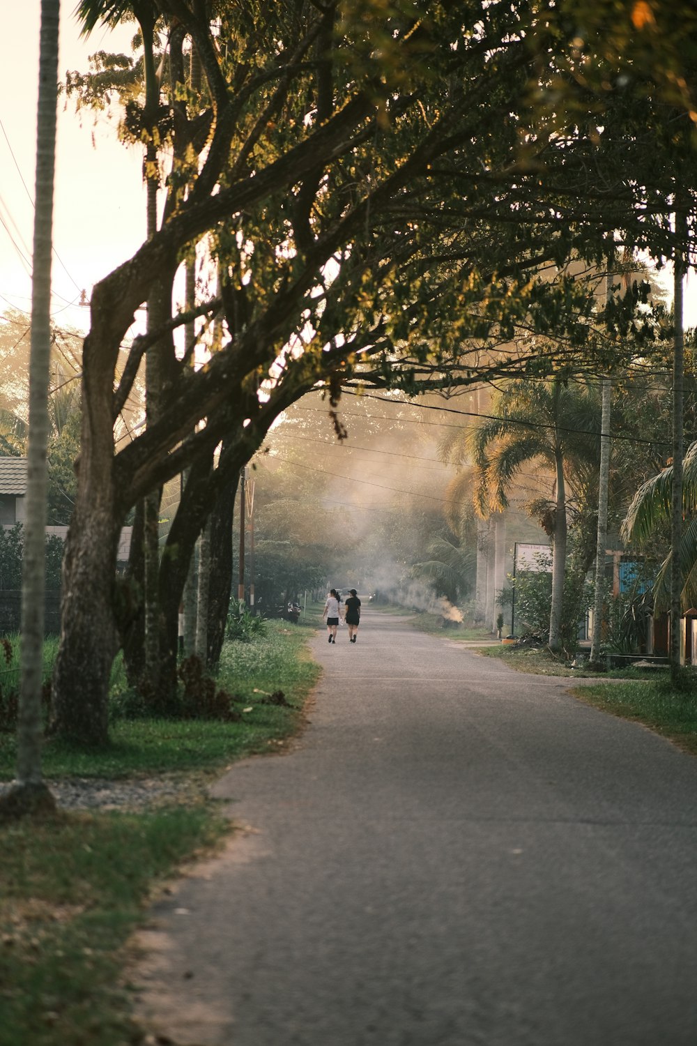 person in black jacket walking on pathway between trees during daytime