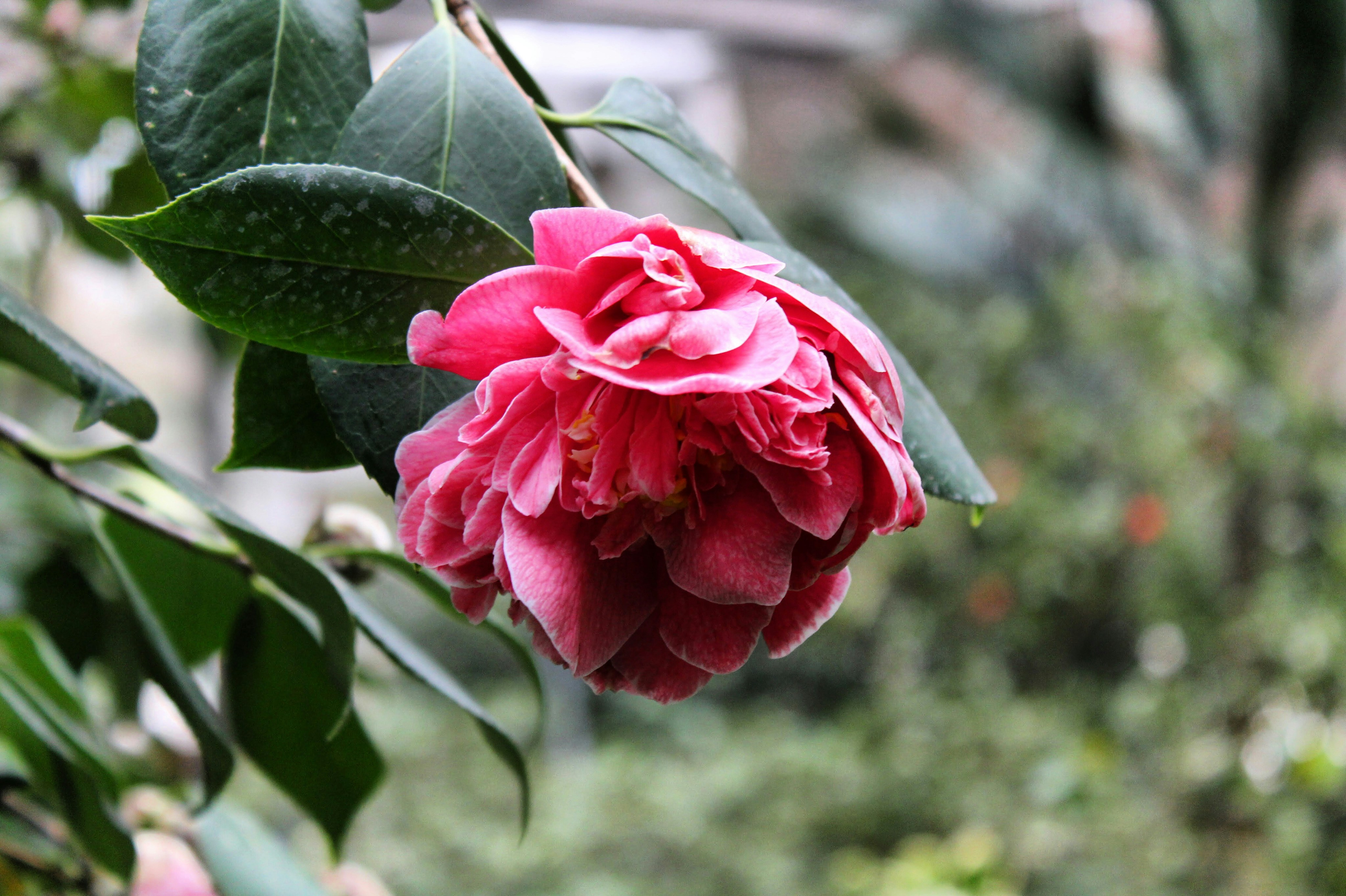 Photo by storybylano