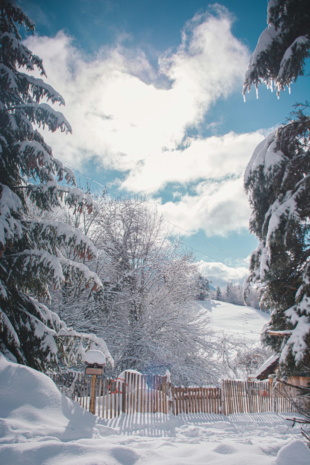 snow covered trees under cloudy sky during daytime