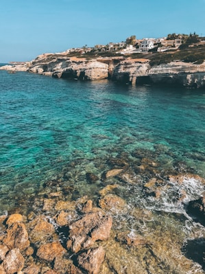 brown rocky shore with blue water during daytime