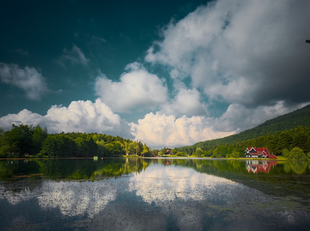 grüne Bäume am See unter weißen Wolken und blauem Himmel tagsüber