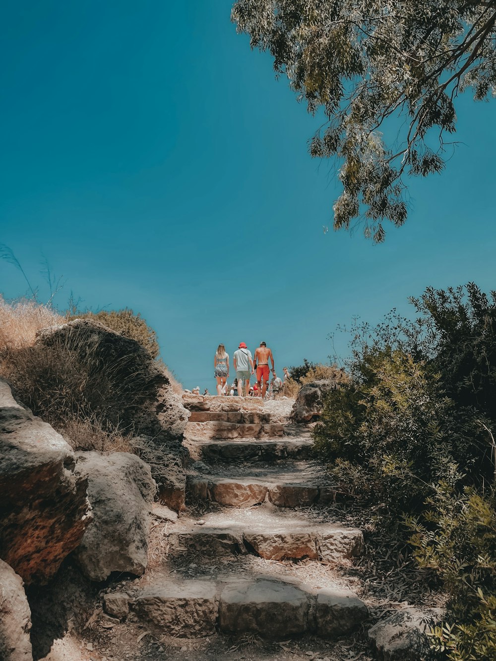 people standing on rocky hill during daytime