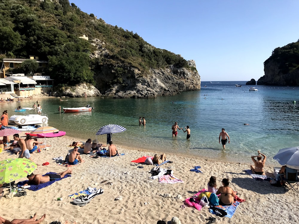 people on beach during daytime