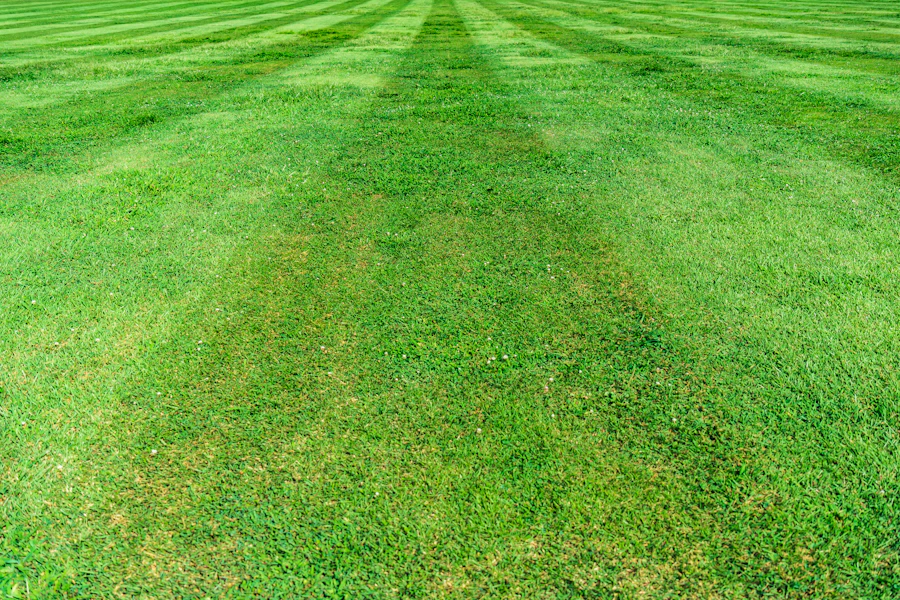 Seasonal cleanup