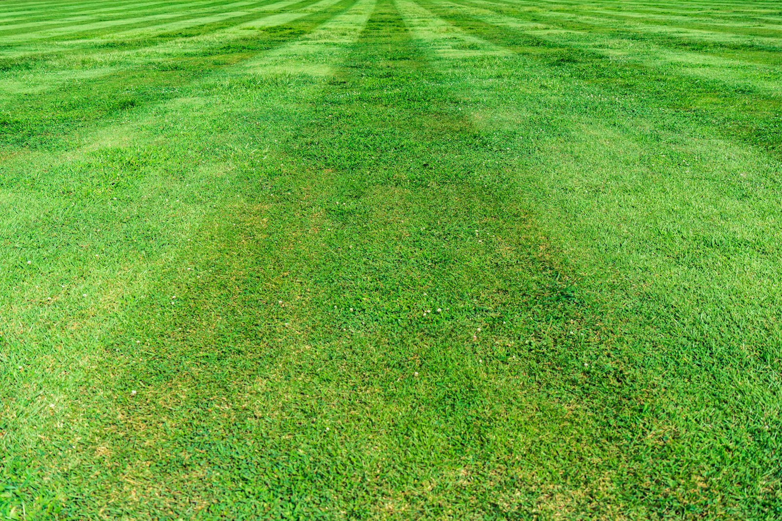 Fertilization, Weed Control and Grub Control