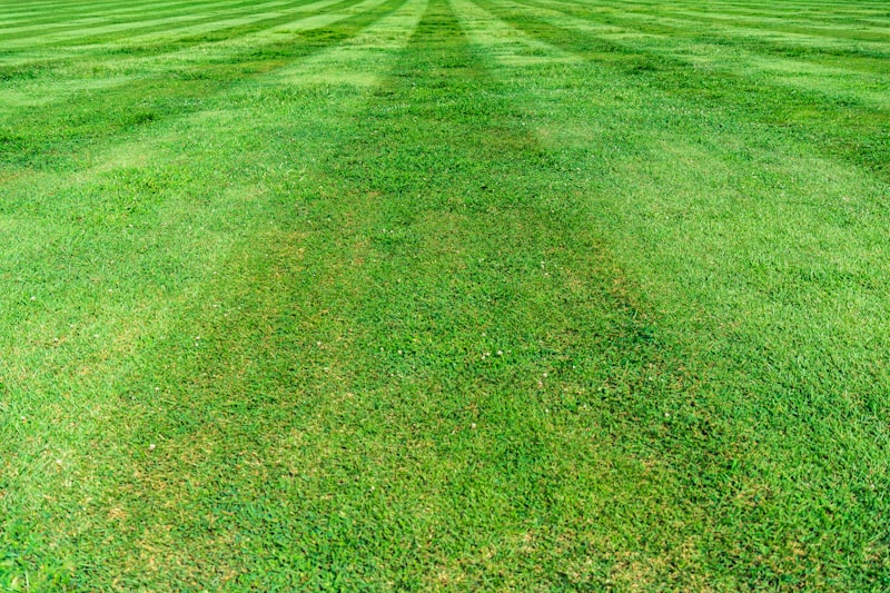 Professional lawn care with mowing stripes