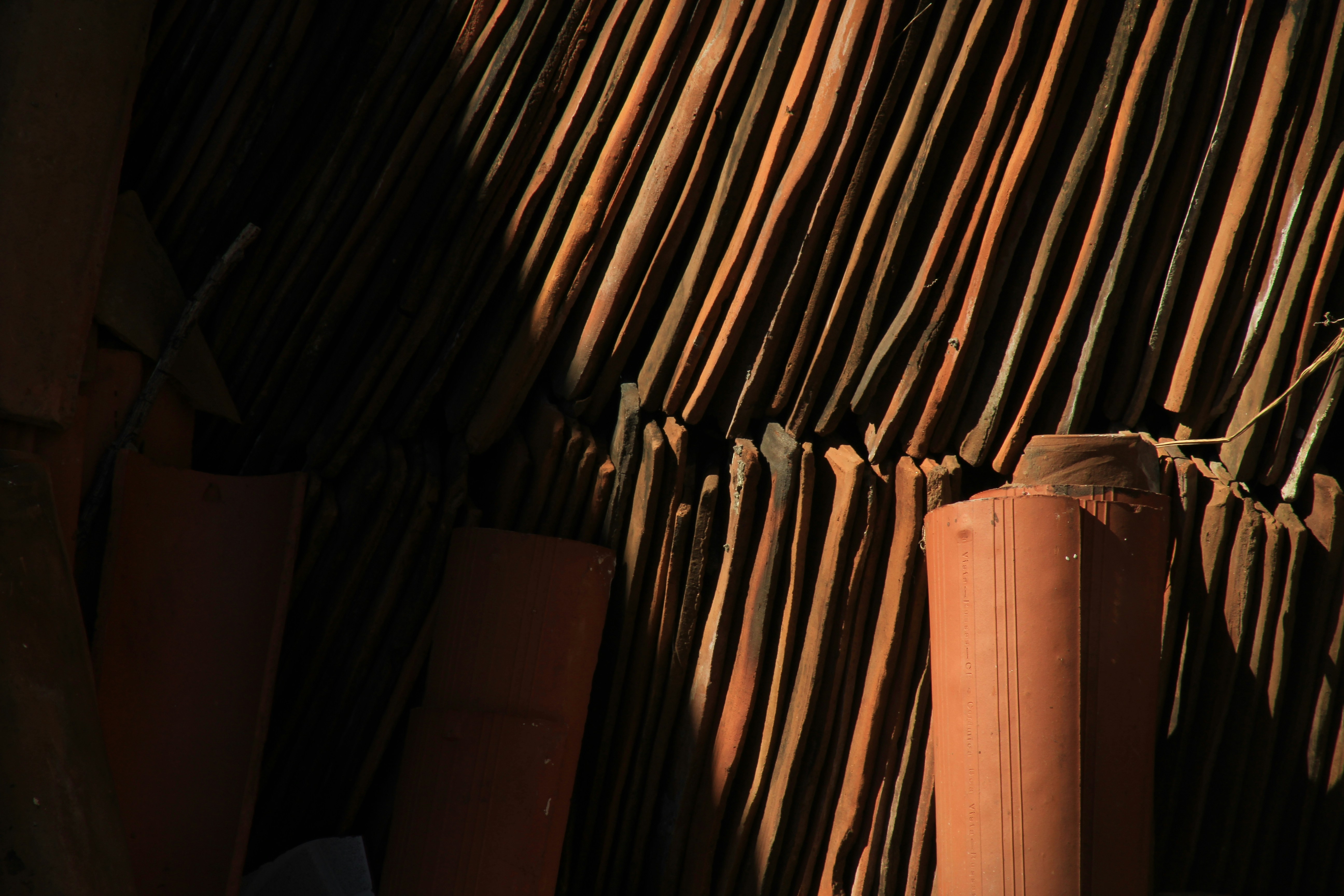 Photo by marcusdsousa