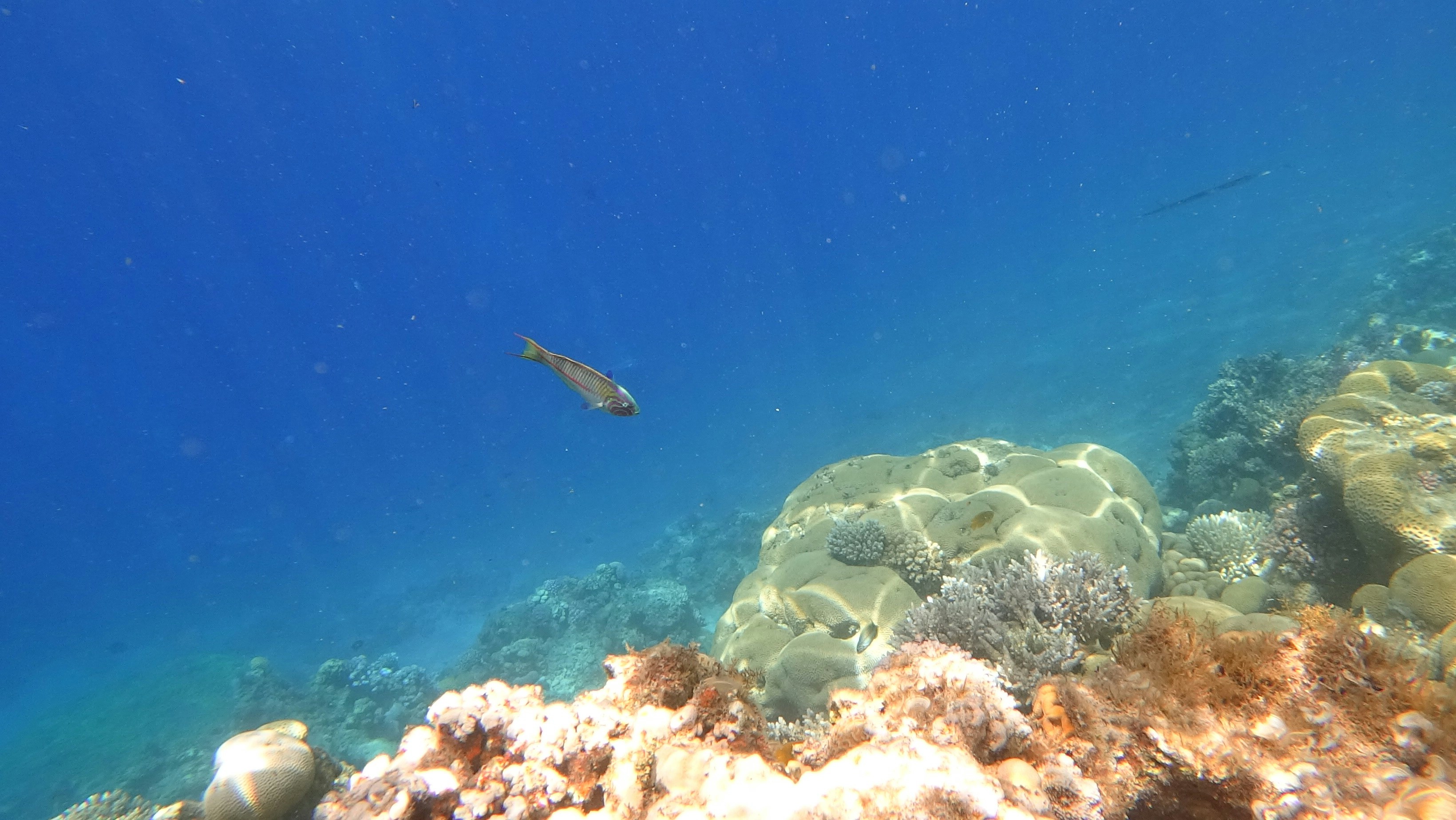 Photo by raimondklavins