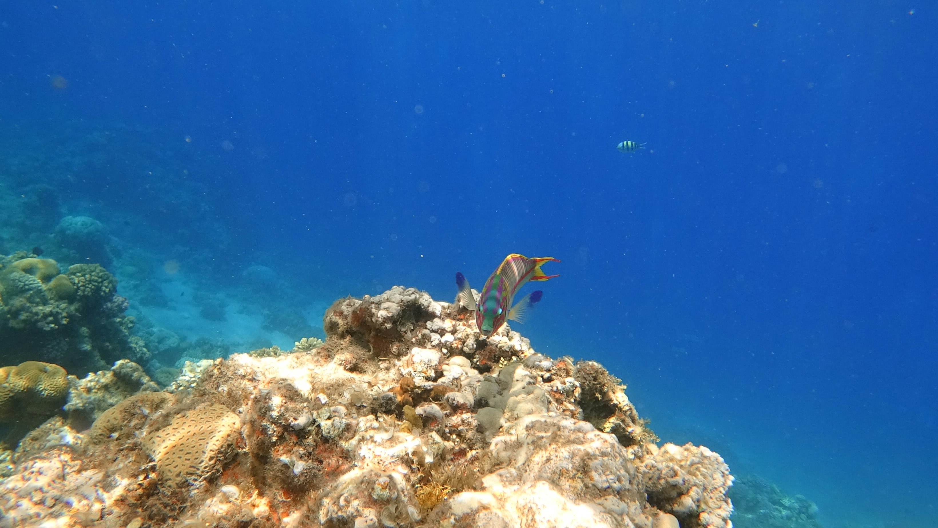 Photo by raimondklavins