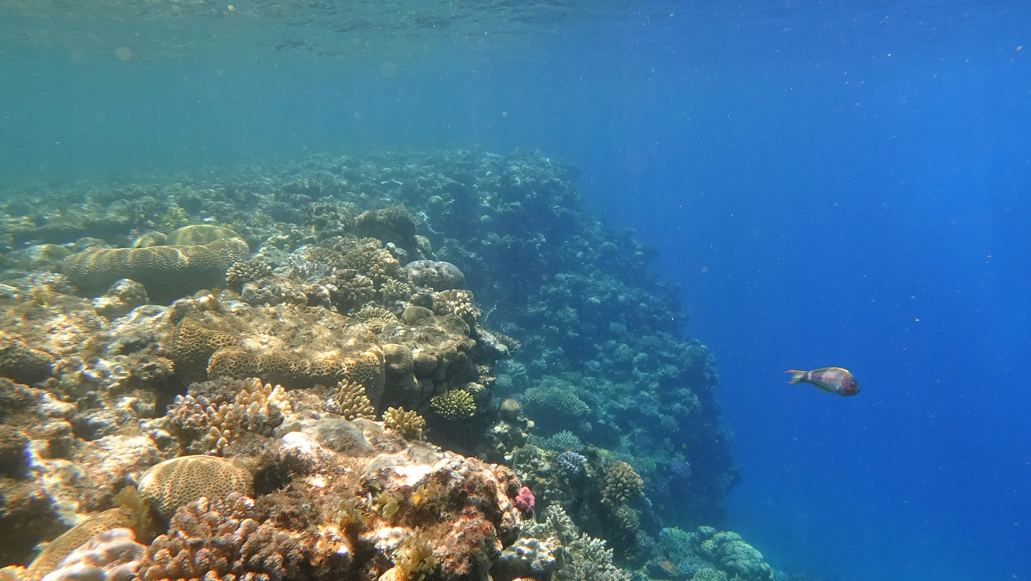 Photo by raimondklavins