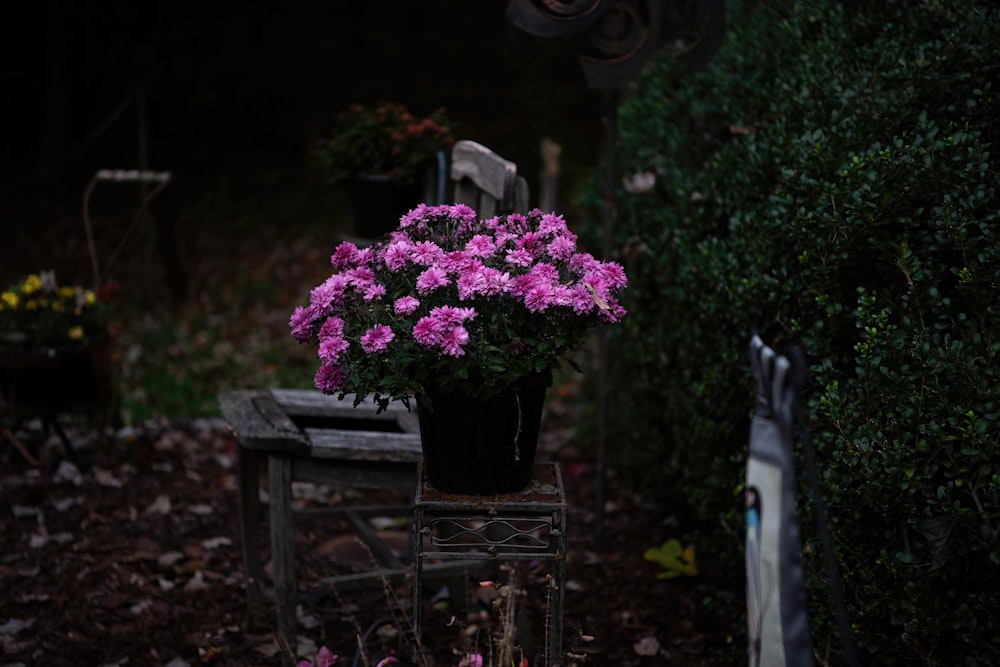 pink flowers on black steel flower pot