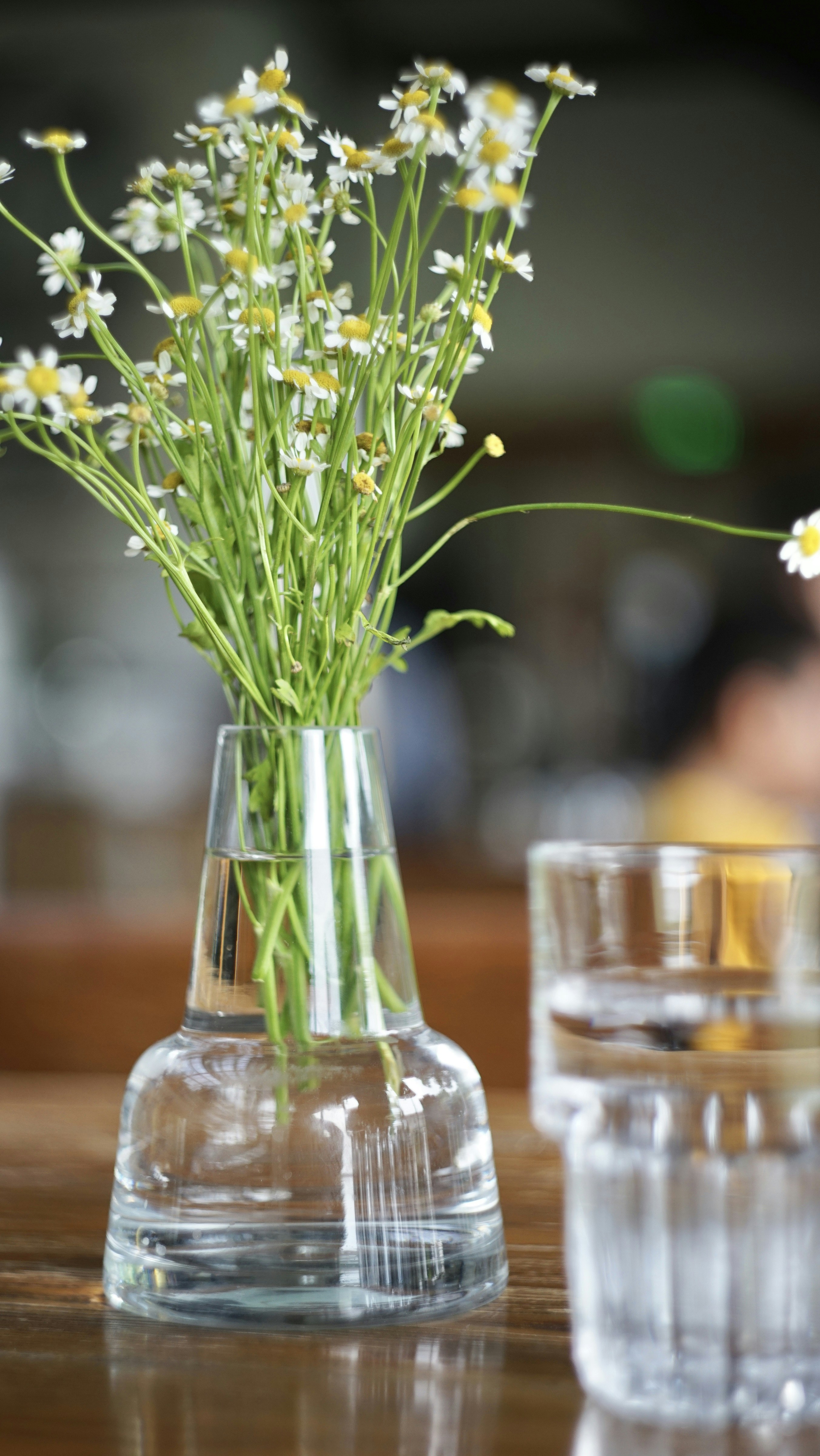 yellow flowers in clear glass vase