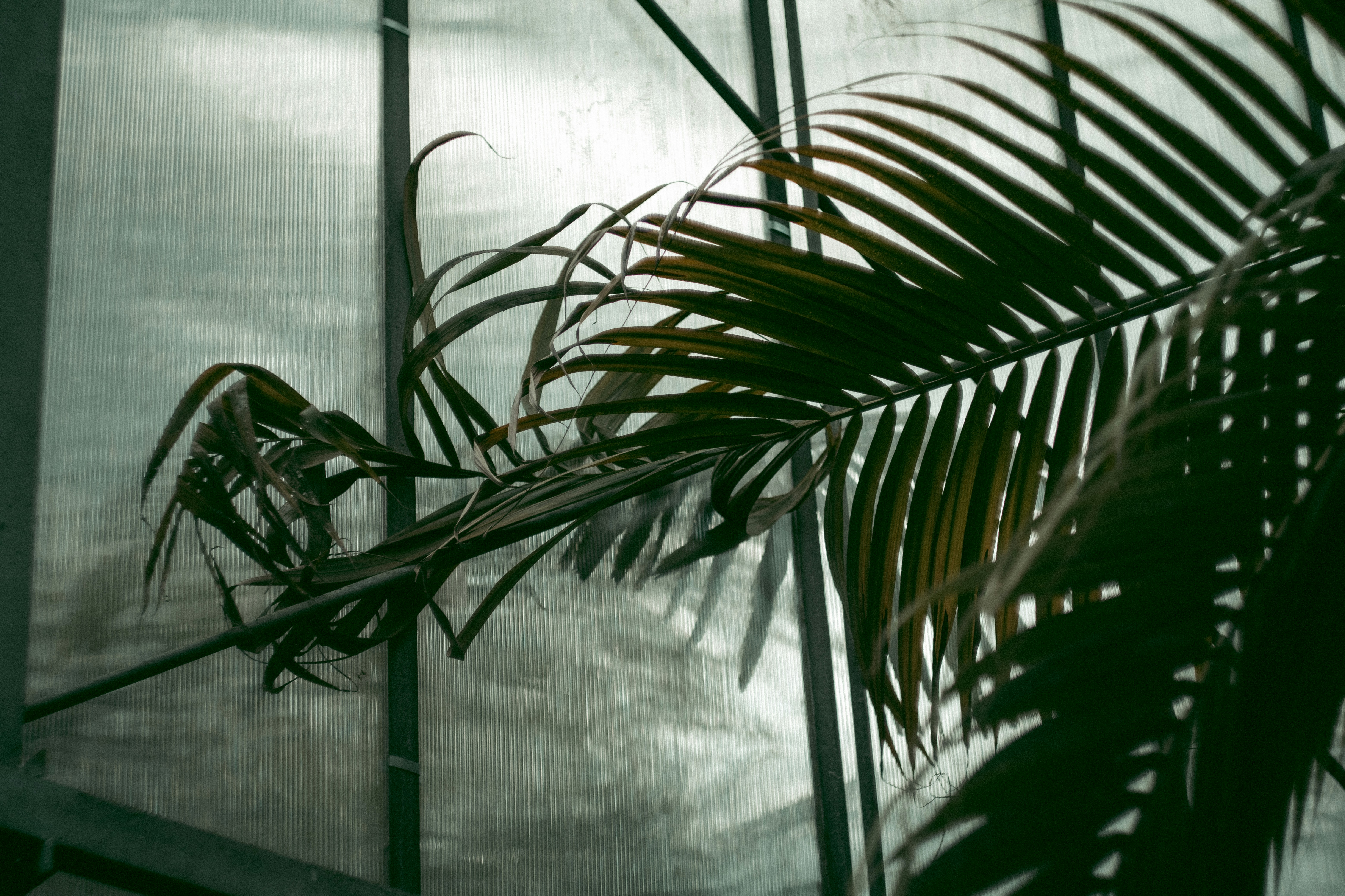 tropical wallpaper hallway, wallpaper, Tropical Hallway Design: Bring the Outdoors In 3