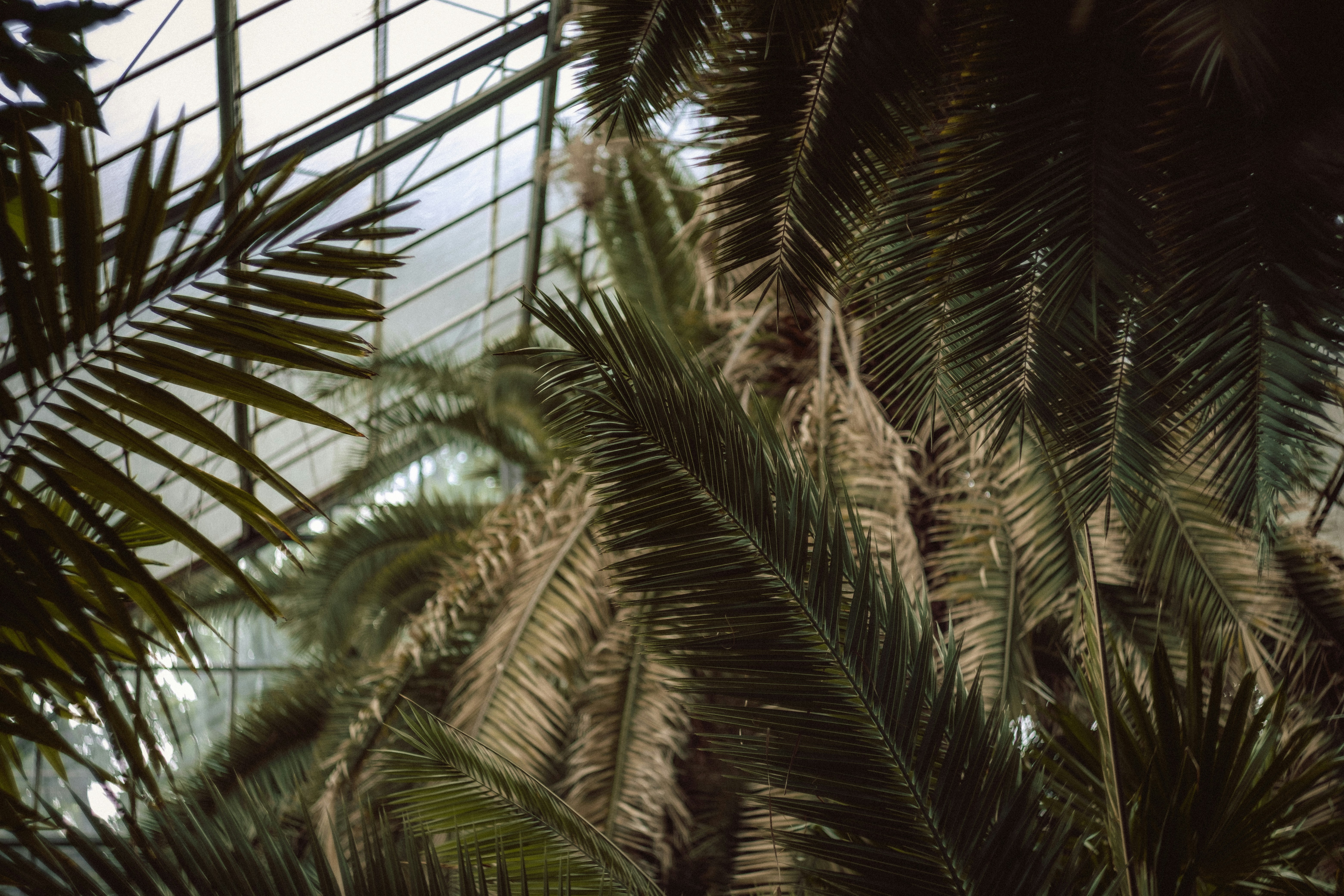 Photo by arnold_nagy