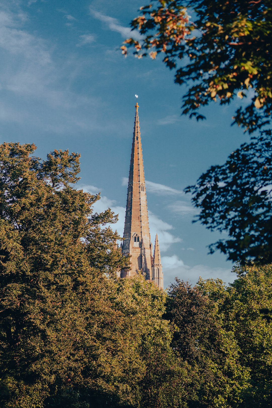 green trees near brown tower under blue sky during daytime