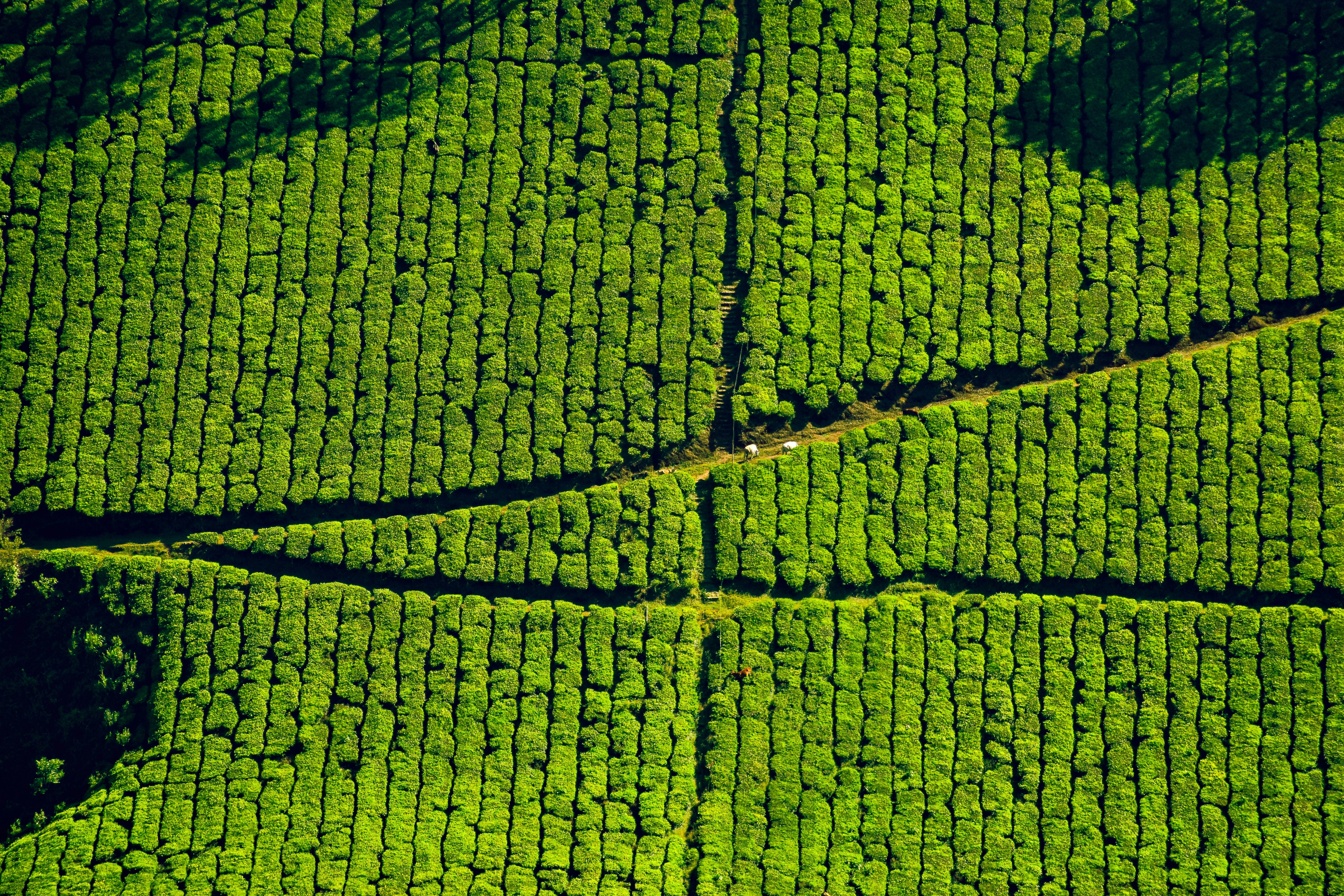 Photo by navi_photography