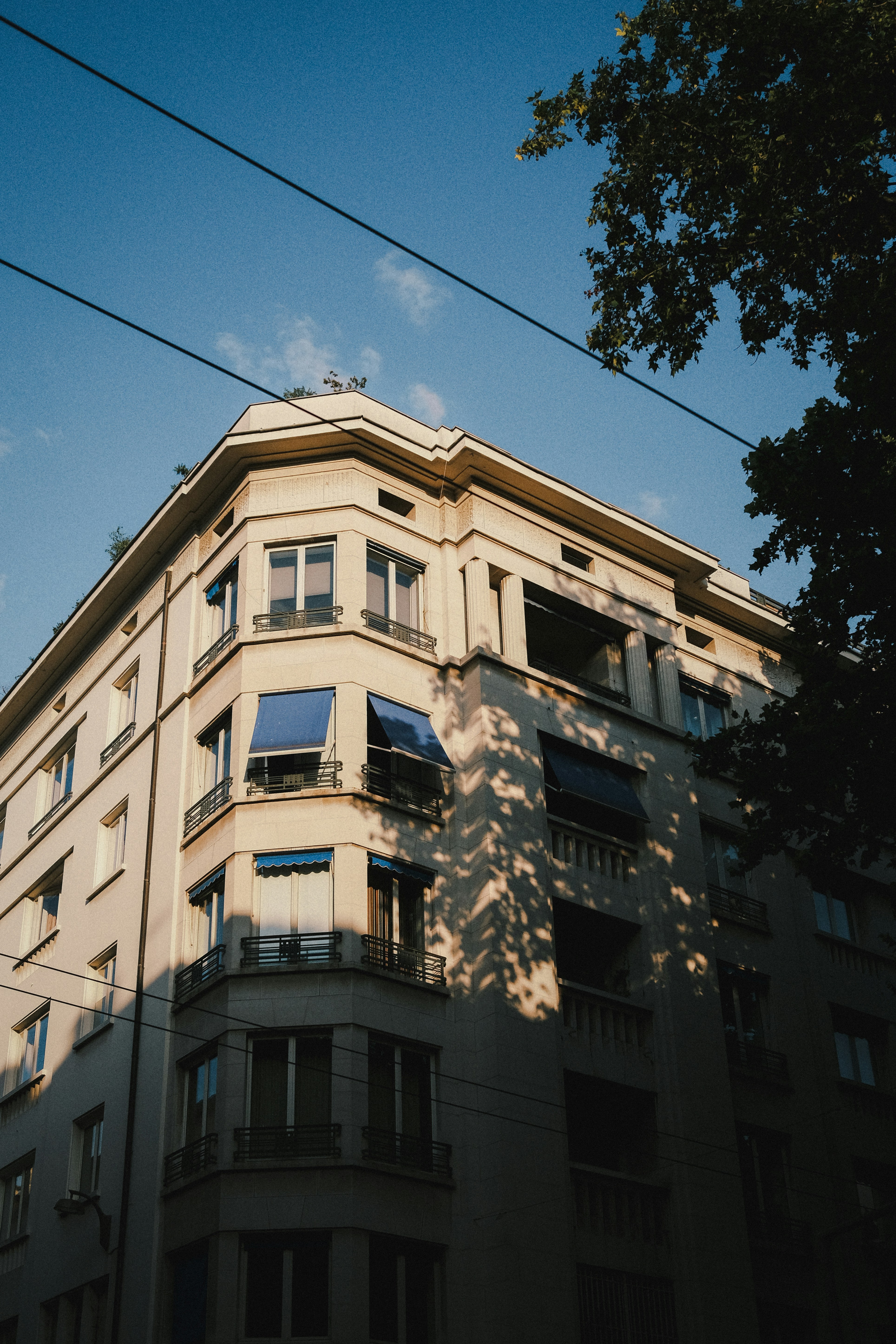 Photo by jonasvandermeiren