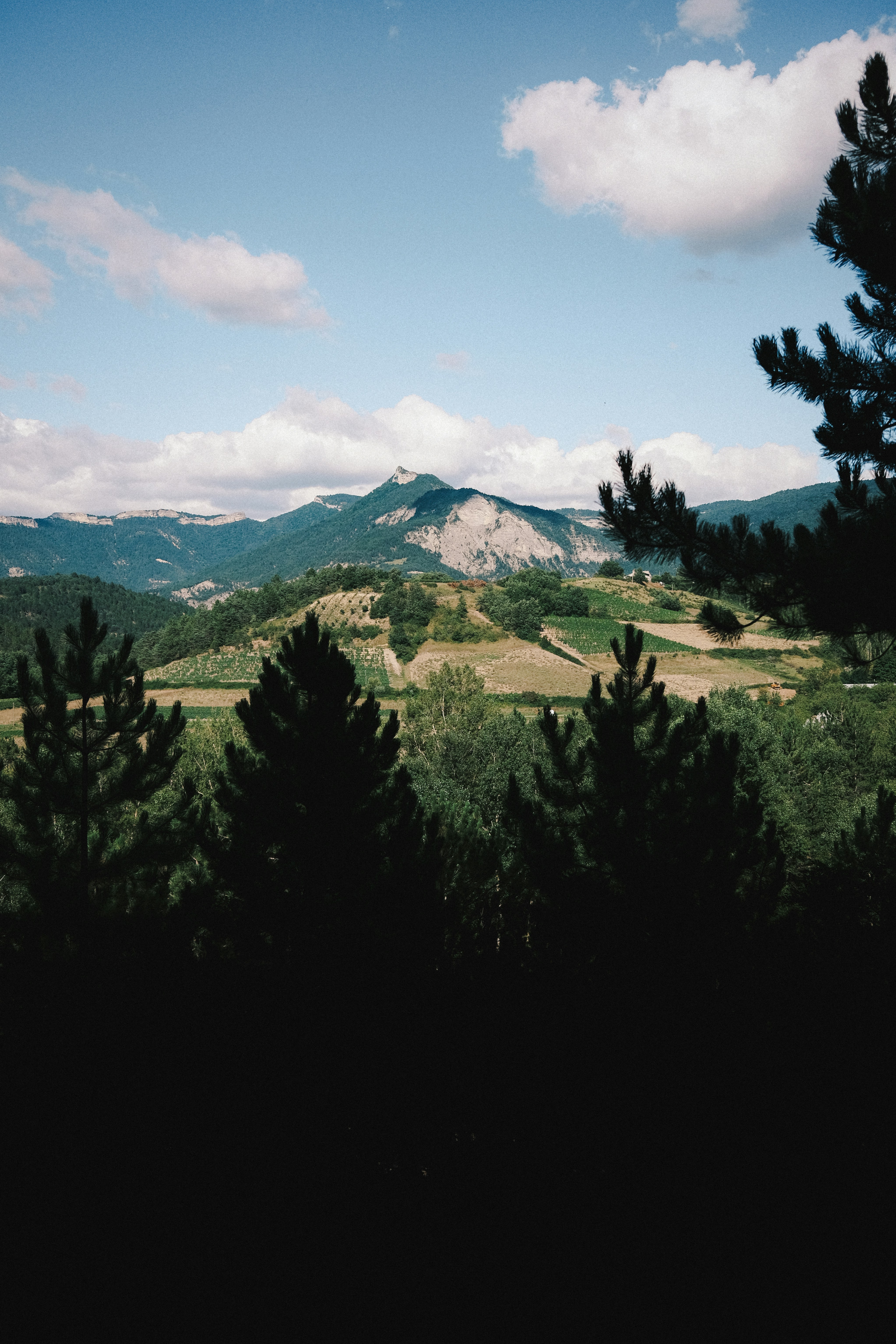 árboles verdes cerca de la montaña bajo nubes blancas durante el día