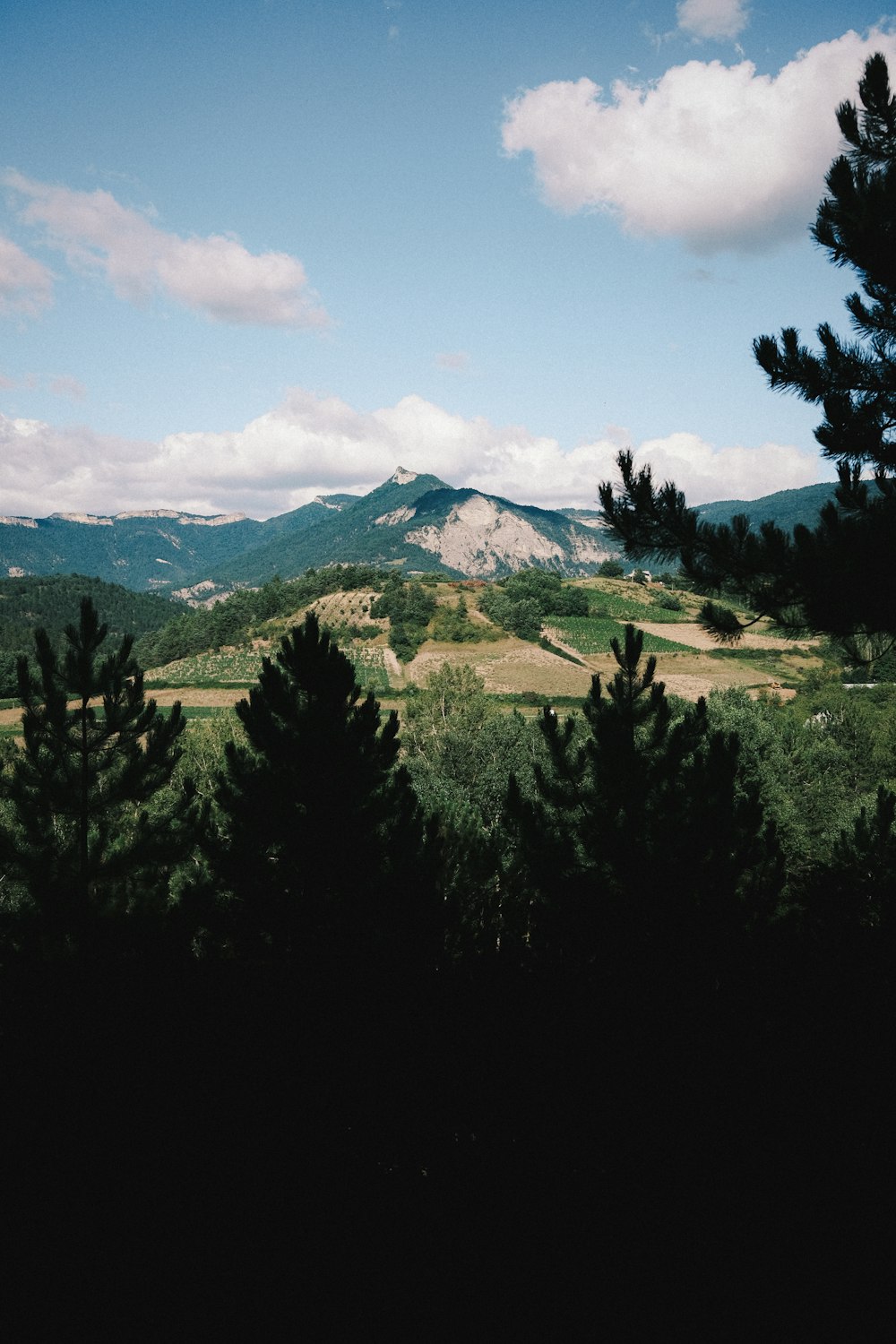 green trees near mountain under white clouds during daytime