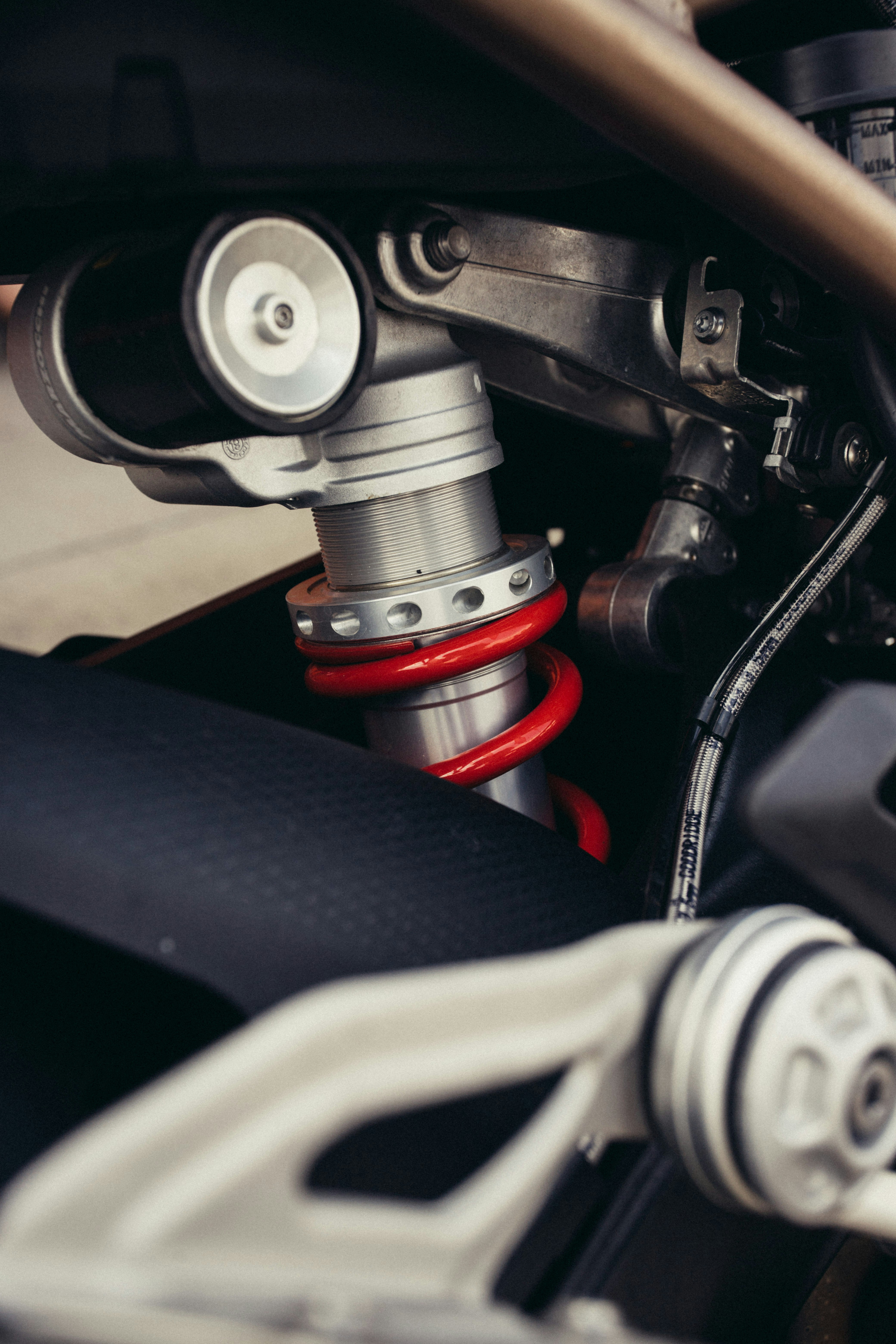 Photo by davidguliciuc