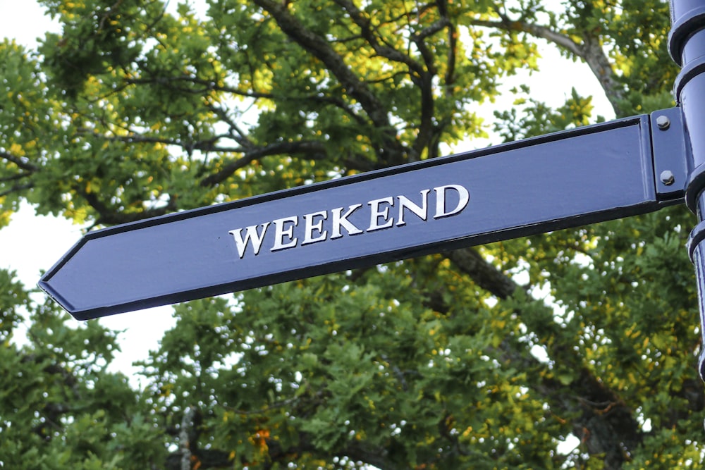 a blue street sign with a tree in the background