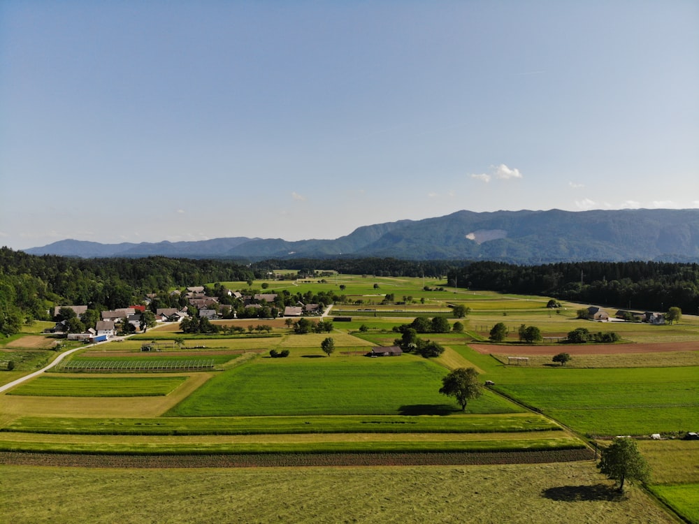 green grass field near green mountains during daytime